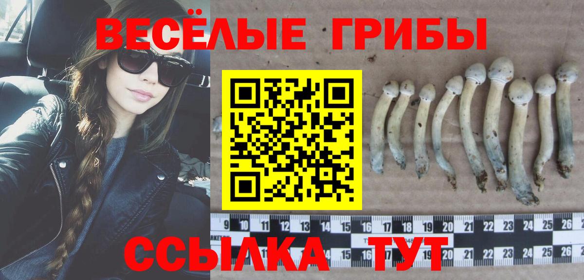 Галлюциногенные грибы мицелий  Вход с VPN  Вичуга 